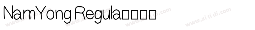 NamYong Regula字体转换